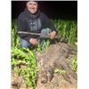 Image 1 : Texas Hog Hunt for 2 Hunters