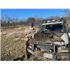 Image 2 : Texas Hog Hunt for 2 Hunters