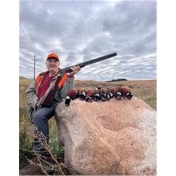 North Dakota Pheasant Hunt