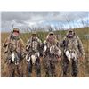 Image 2 : North Dakota Waterfowl Hunt