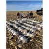 Image 4 : North Dakota Waterfowl Hunt