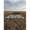 Image 5 : North Dakota Waterfowl Hunt