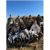 Image 8 : North Dakota Waterfowl Hunt