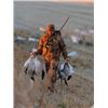 Image 9 : North Dakota Waterfowl Hunt