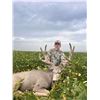 Image 4 : Dakota Mule Deer/Whitetail Rifle Hunt