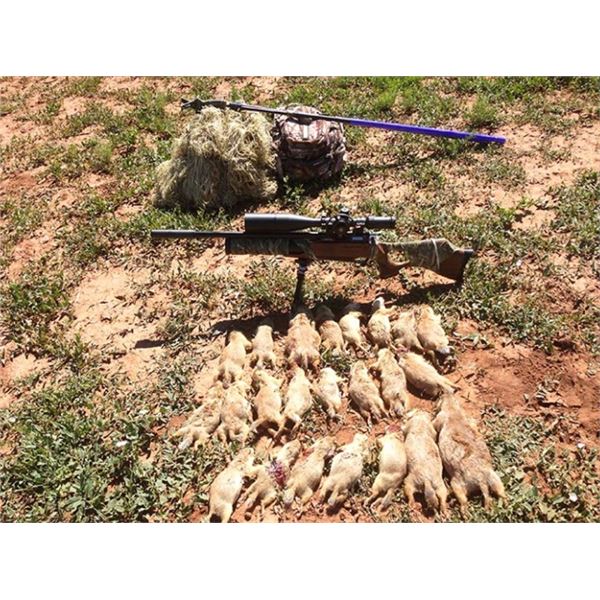 Dakotas Prairie Dog/Coyote Hunt