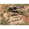 Image 1 : Dakotas Prairie Dog/Coyote Hunt