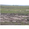 Image 7 : Dakotas Prairie Dog/Coyote Hunt