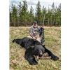 Image 4 : Trophy Coastal Black Bear Hunt in NC
