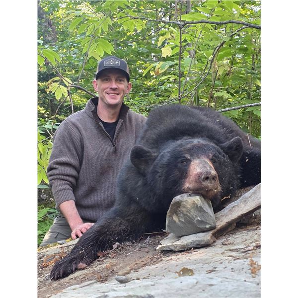 Maine Black Bear Hound Hunt for 2