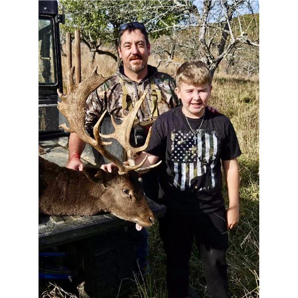 Mature Fallow Buck Hunt