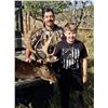 Image 1 : Mature Fallow Buck Hunt