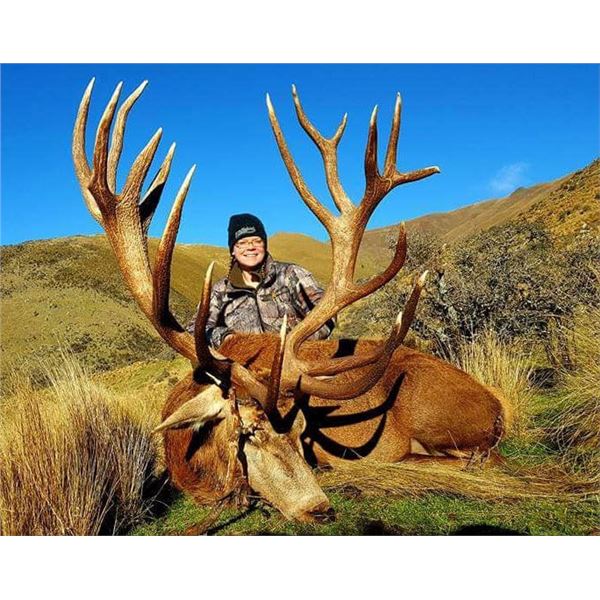 New Zealand Red Stag Hunt