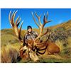 Image 1 : New Zealand Red Stag Hunt