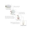 Image 4 : Lot of 10 Paper Lanterns