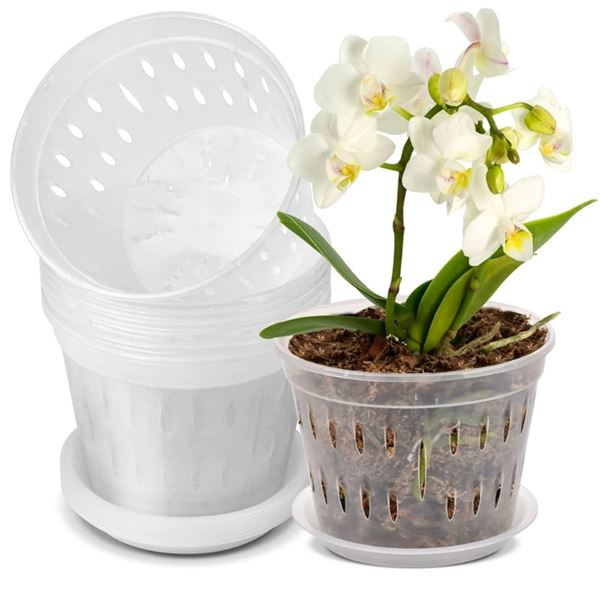 Lanccona Orchid Pot - 7in - 8 Pack w/ Saucers