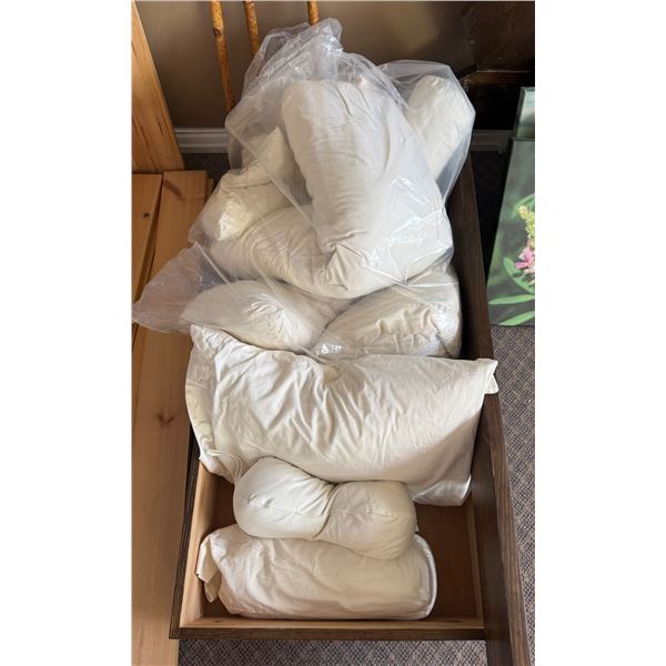 New Group of Assorted Pillows Inserts - Used for Display, Various Models & Sizes