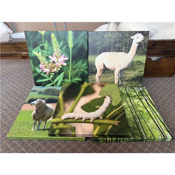 New Group of 5 Assorted Natural Nature Art Canvas