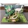65