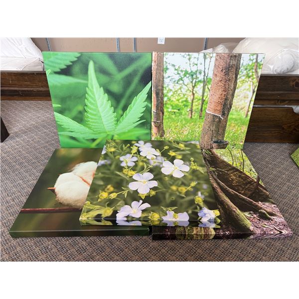 New Group of 5 Assorted Natural Nature Art Canvas