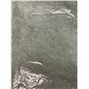 Image 1 : 2 Boxes of New Bath Sheets, Seafoam, Size 90x182 cm (Approx. 12 Pcs) - R.V. $129.99/pcs