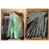 Image 1 : 2 Boxes of Yoga Totes