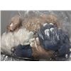 Image 4 : 12-Pcs Brown Bunny Plushie Keychains - RV: $288 - Assorted Colours