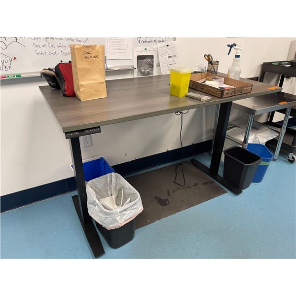 Electric Height-Adjustable Standing Desk with Programmable Memory Controls