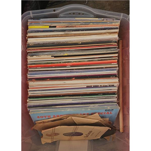 Vinyl Records in Plastic Storage Bin