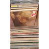 Image 2 : Vinyl Records in Plastic Storage Bin
