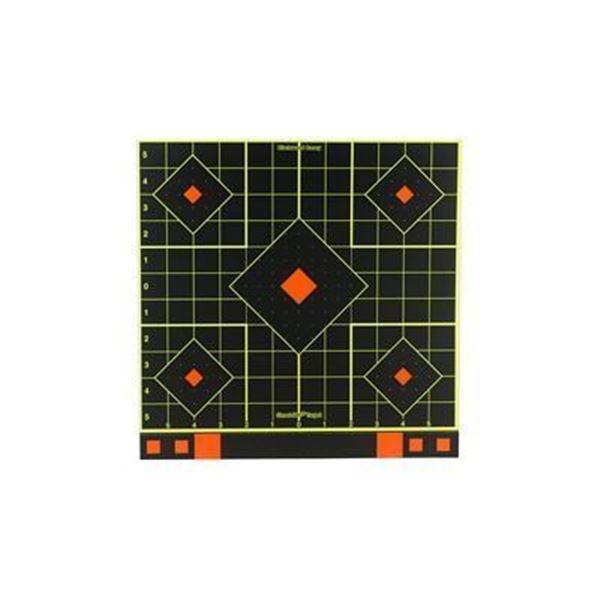 B/C SHT-N-C 12" SIGHT-IN TRGT 5PK