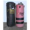 Image 1 : PAIR OF EVERLAST PUNCHING BAGS