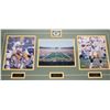 Image 2 : LARGE GREEN BAY PACKERS LEGENDS FRAMED NFL