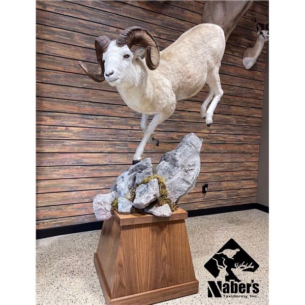 $1000 Taxidermy Gift Certificate-Naber's