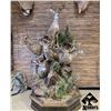 Image 3 : $1000 Taxidermy Gift Certificate-Naber's