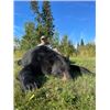 Image 10 : Keg Country Outfitters