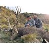 Image 3 : New Zealand Outfitters