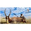 Image 2 : Matwetwe Safaris- Giraffe & Common Blesbuck