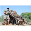 Image 3 : Matwetwe Safaris- Giraffe & Common Blesbuck