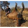 Image 2 : 7 Day Safari - Trophy Credits for 2 Hunters