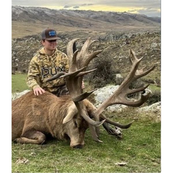 Stag/Turkey Hunt- New Zealand