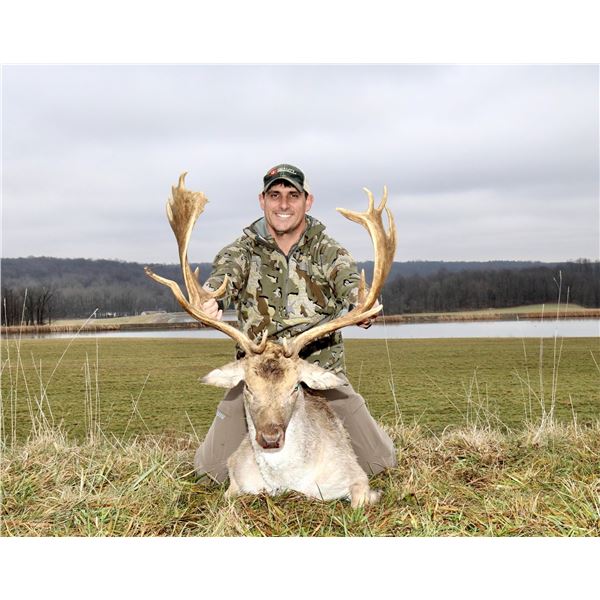 Briarwood Sporting Club, Ohio- Fallow Buck Hunt for 1