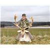 Image 1 : Briarwood Sporting Club, Ohio- Fallow Buck Hunt for 1