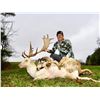 Image 2 : Briarwood Sporting Club, Ohio- Fallow Buck Hunt for 1
