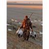 Image 1 : North Dakota Waterfowl Hunt for 2