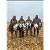 Image 2 : North Dakota Waterfowl Hunt for 2