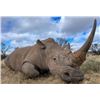 Image 1 : Rhino Vita Dart-South Africa