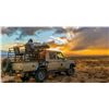 Image 2 : Rhino Vita Dart-South Africa