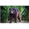 Image 4 : LDWF Secretary's Black Bear Tag for 1 Hunter