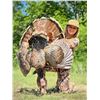 Image 1 : South Texas Spring Rio Turkey Hunt for 2